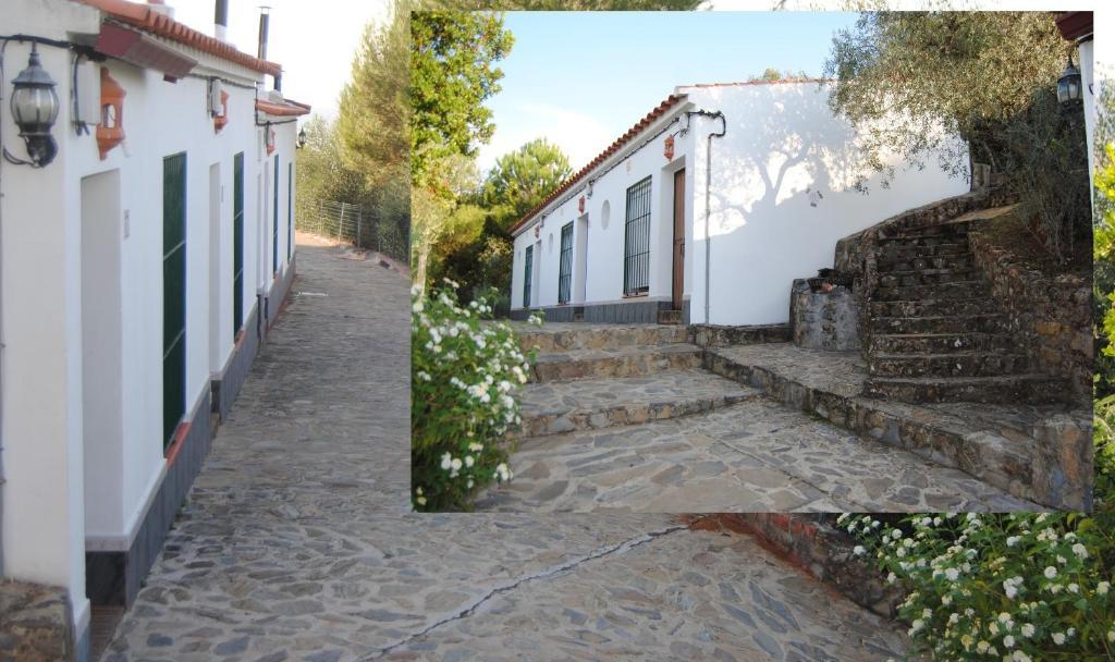 Aparthotel Las Palomas La Puebla de los Infantes Rum bild